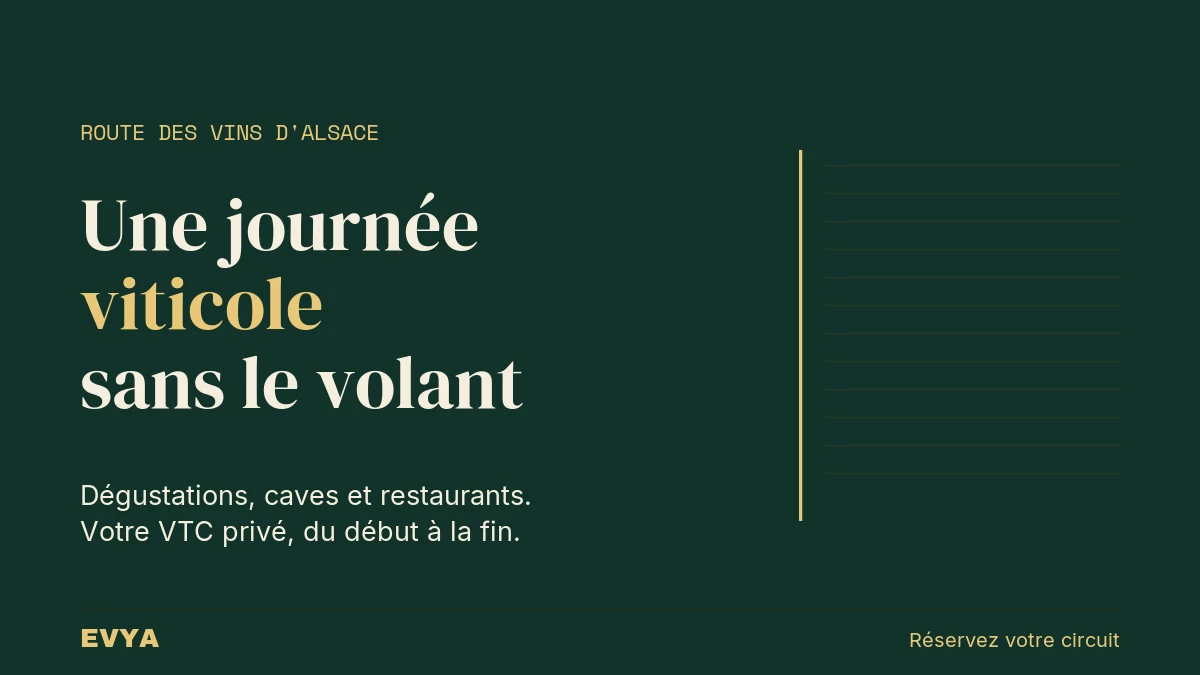 Visuel éditorial pour circuit viticole en VTC privé sur la Route des Vins d'Alsace depuis Nancy - EVYA